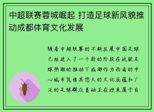 中超联赛蓉城崛起 打造足球新风貌推动成都体育文化发展 中超联赛蓉城崛起 打造足球新风貌推动成都体育文化发展