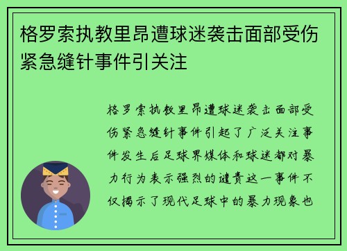 格罗索执教里昂遭球迷袭击面部受伤紧急缝针事件引关注
